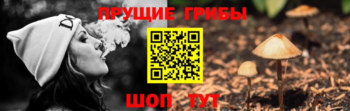 Галлюциногенные грибы MAGIC MUSHROOMS Каменка